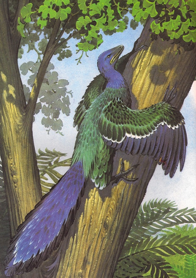 vijith-assar-archaeopteryx